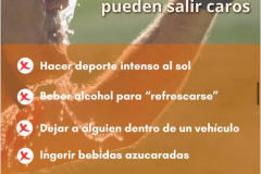 ConsejosCalor07